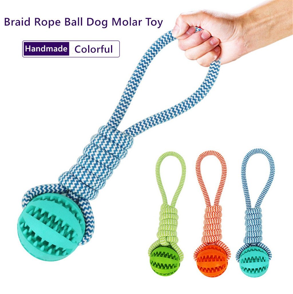 Interactive Treat Dispensing Dog Ball