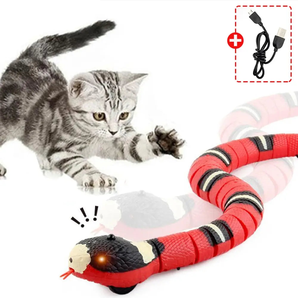 PAWsome Snake Hunt