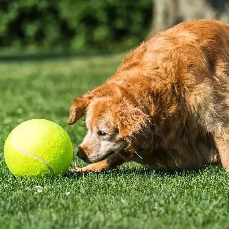 PAWsomePal Tennisball