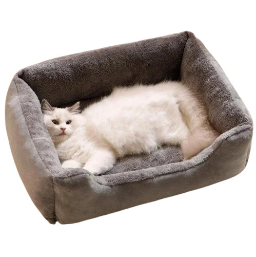 PAWsome Mat Bed